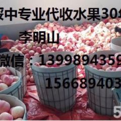 专业代收水果30年，服务全国近百位水果客商