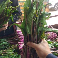 当阳市两河镇，紫色菜苔，大量上市。