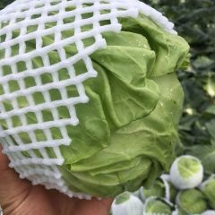 钟祥旺旺已大量上市，品质好