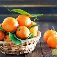 湖北兴山大量供应，欢迎订购！