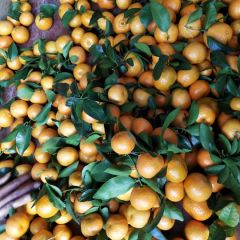 合作让我们共创双赢