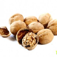 忻州尹村核桃大量上市啦！