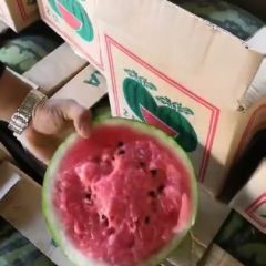 缅甸甜王，糖度高，超甜