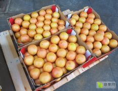 红心西柚 进口南非西柚 葡萄柚 货源批发