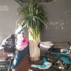 昌邑大葱诚信合作