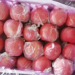 2018年运城临猗、万荣晚熟纸夹膜红富士