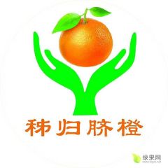 秭归纽荷尔脐橙果园直销 65～80 大量批发