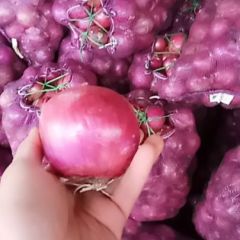 便宜二红洋葱到位了！需要的速度联系