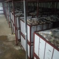 冷库散货大铁筐冰糖心红富士苹果