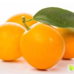 融安金桔 纯甜无酸