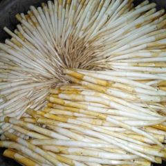 云南特产蒙自无公害草芽（象牙菜）