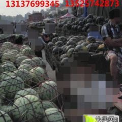 2023扶沟县尚村岗西瓜批发大市场