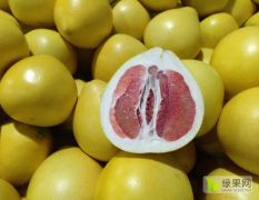 自家种植平和红心柚子几十万斤，，产地直发，