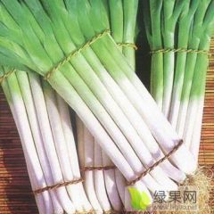 滕州8万亩大葱大量上市，欢迎采购！