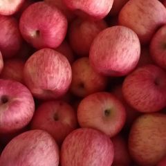 栖霞万亩方山红富士苹果