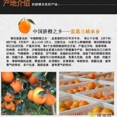 湖北秭归长江脐橙之乡