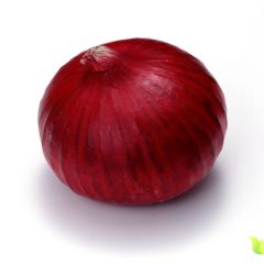 临沂河西红皮洋葱二红扁桩洋葱