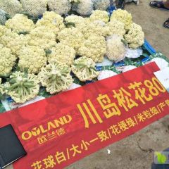 天门市精品白花菜花每天海量供货