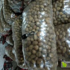 迷你小土豆开始供货了