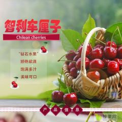 车厘子批发：集果轩Santina专为超市电商水果