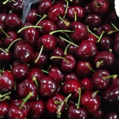 车厘子批发：号外号外~~~海运车厘子大军即将登陆