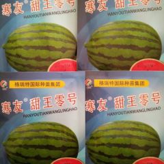 西瓜种子批发大全