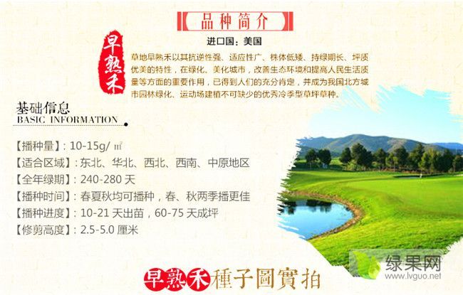 2018年江苏沭阳早熟禾种子价格