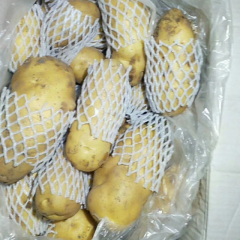 有大量冷库土豆出售