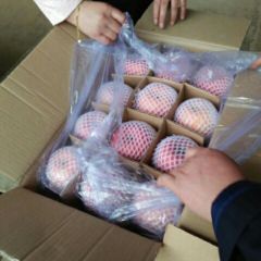 大荔县，两宜镇供应库存精品红富士苹果