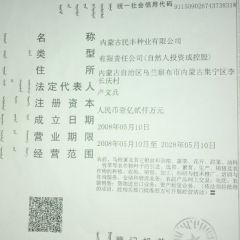 民丰种业荷兰十五