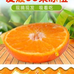 爱媛果冻橙微商代理