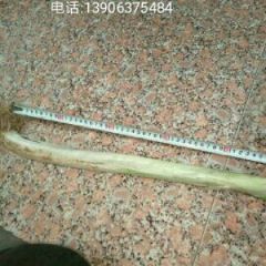 大葱长白大葱章丘梧桐葱山东大葱