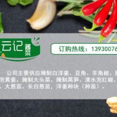 供应大量优质白洋姜，量大从优，欢迎来电咨询！