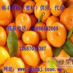 南丰蜜桔历史低价