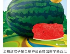 吉林省天天鲜果农业投资开发有限公司