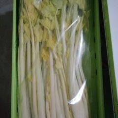 平度马家沟牌有机菌种植芹菜