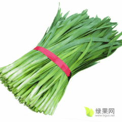 尉氏庄头镇栗林村无公害绿色韭菜