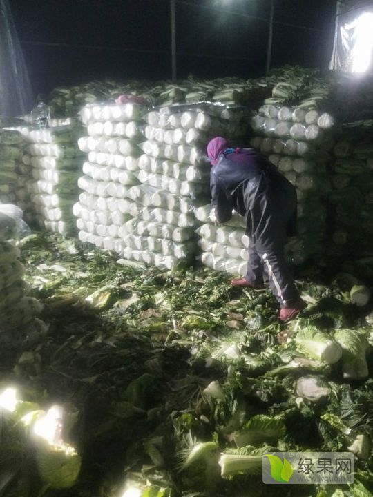 2018年河北滦南北京新三号价格