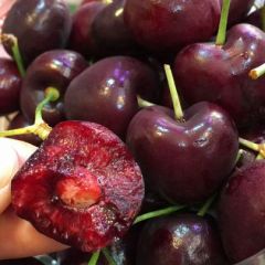 bing品种车厘子批发 多少钱一斤