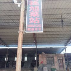 有机花，菜花，西葫芦，西红柿，圆茄，长豆角