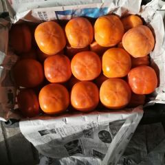 6两以上冷库柿子等待出售