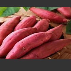 品种多、价格优、质量好！