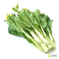 优质白菜苔，物美价廉，产量大