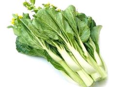 优质白菜苔，物美价廉，产量大