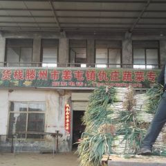 滕州铁杆长白大葱