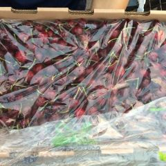 智利车厘子批发 Santina 大樱桃批发 原箱