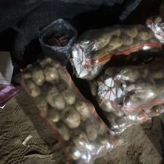 冀张薯、226、白皮白肉个头大椭圆形状