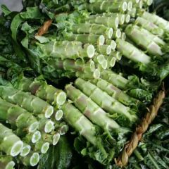 海安莴苣大量上市