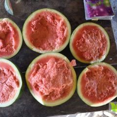 哪里有缅甸无籽西瓜代办？12月最新无籽瓜行情