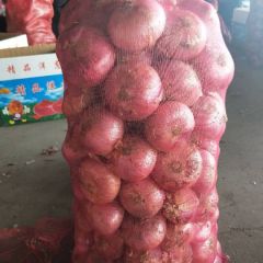 金乡洋葱代办，产地直销，一吨起批